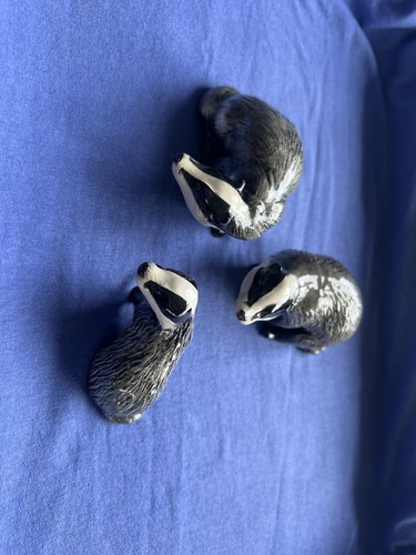Beswick family badgers set - family, of