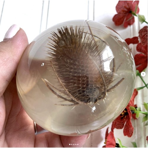 Vintage 1990s thistle - vintage,