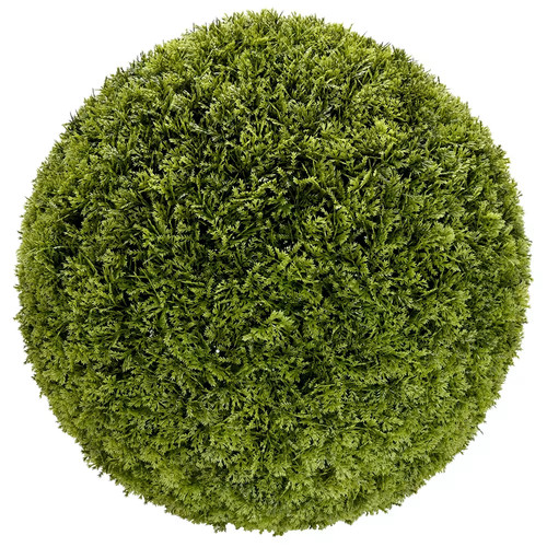 Cypressus topiary ball - topiary,