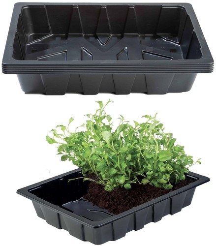 Half size plastic seed - x,
