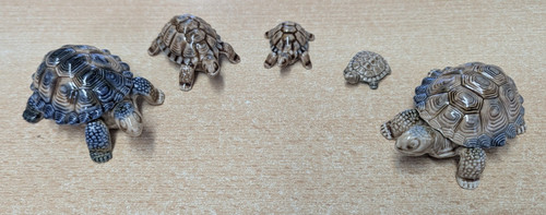 Wade tortoise turtle - 5x,