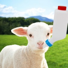 Lamb Milk Bottle with Scale