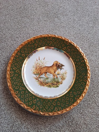 Weatherby royal falcon dog - royal,