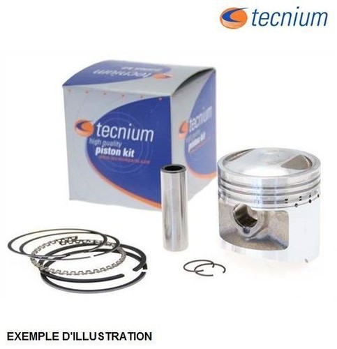 Tecnium axle segments piston - tecnium,