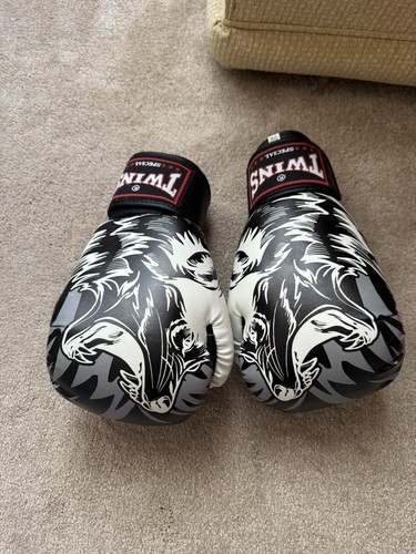 Boxing gloves twins special - gloves,