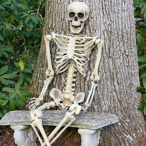 165cm halloween skeleton - 165cm,