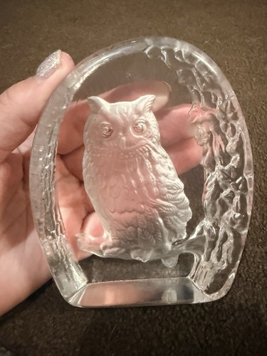 Clear glass owl paperweight - clear,