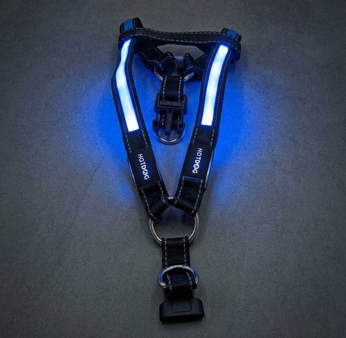 Hotdog neon led dog - dog, harness