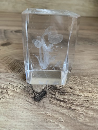 Laser etched crystal - etched,