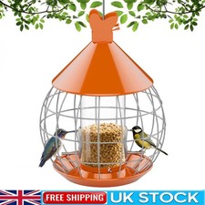 Large Heavy Duty Squirrel