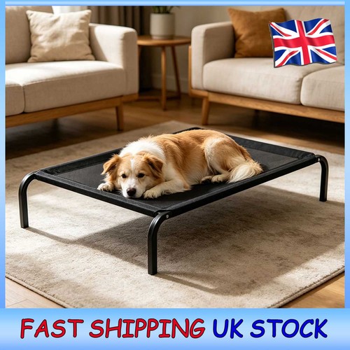 Off ground raised dog - raised,