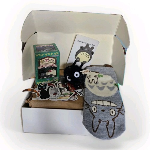 Neighbour totoro merch - my, gift