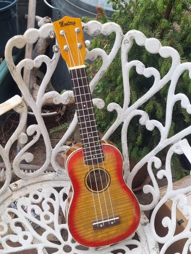 Monterey deluxe sunburst - deluxe,