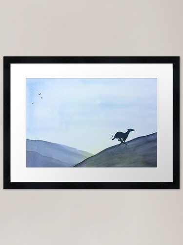 Running greyhound whippet - running,