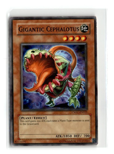 Gigantic cephalotus - gigantic,