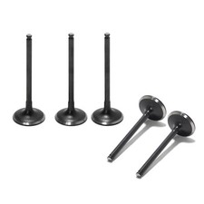 Intake & Exhaust Valves Kit
