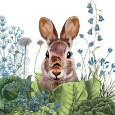 4 Cocktail paper napkins Chou