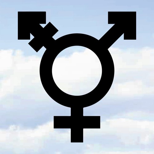 Trans transgender symbol logo - trans,
