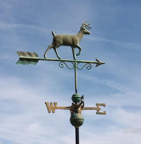 Medium copper stag proud buck - copper,