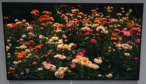 Samsung qe65ls03d 4k qled - qe65ls03d,