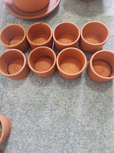 Vintage terracotta pots 8 - x,