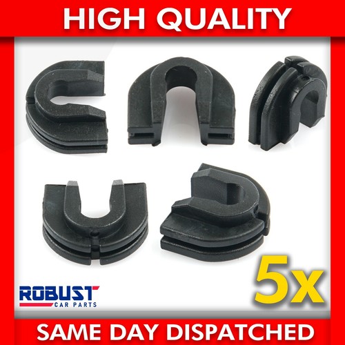 For t4 transporter - 5x,