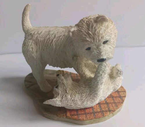 Westie pup licking - pup, adult