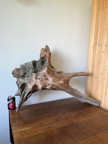 Driftwood piece huge heavy - piece,