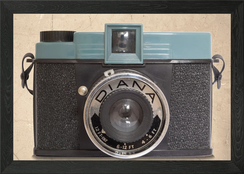 Diana camera where all - diana,