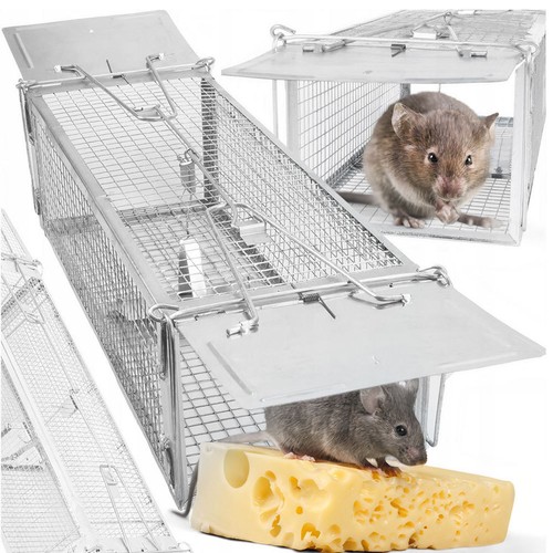 Squirrel trap humane kill - trap,