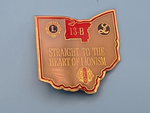 Pin badge lions - -, club