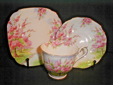 Royal Albert China Blossom