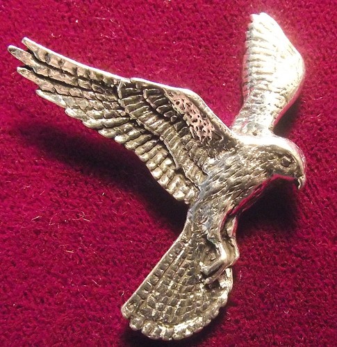 Pewter falcon kestrel falconry - kestrel,
