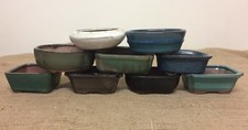12cm mixed bonsai pots - 12cm,