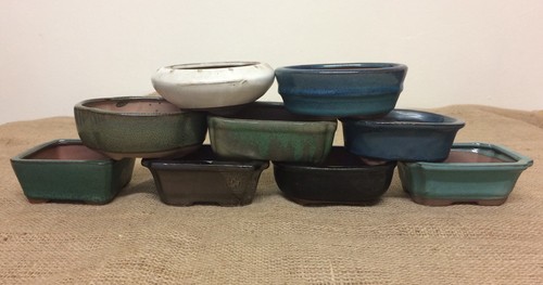 12cm mixed bonsai pots - mixed, x5