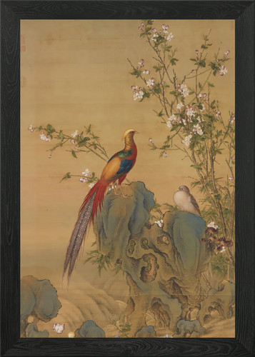 Golden pheasant painting - golden,