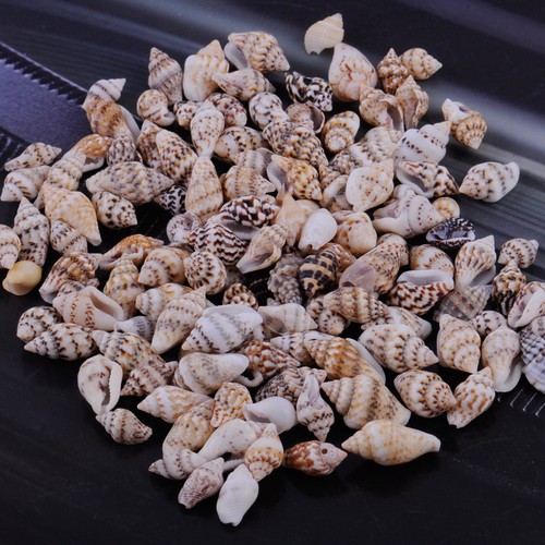 100x small sea - 100x,