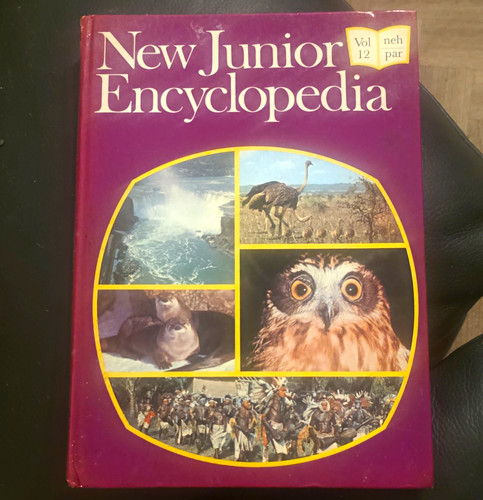 New junior encyclopaedia vol - junior,