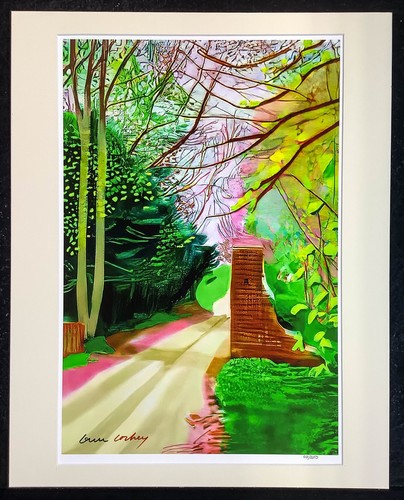 16x20 inch matted print - inch,