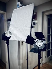 Pegasus P300  x3 studio flash