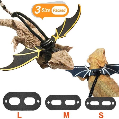 4pcs reptile lizard gecko - reptile,