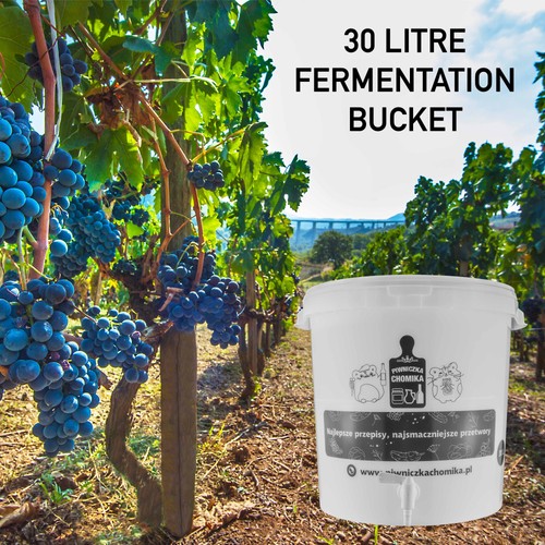 Home brew 30l fermentation - 30l,