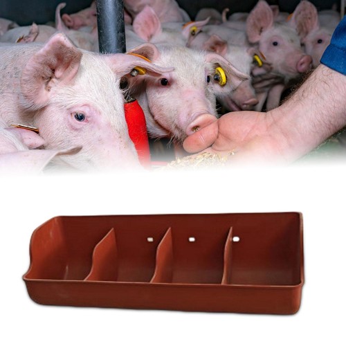 Pig trough feeding livestock - trough,