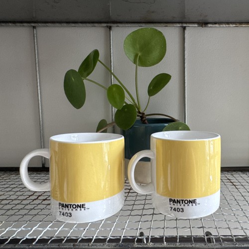 Pantone universe espresso - universe,