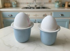 VTG Wedgwood Summer Sky Egg