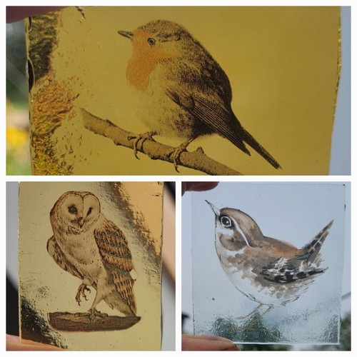 Stained glass birds nature - stained,