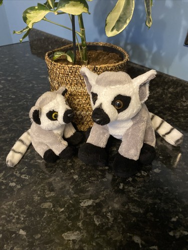Ravensden suma lemur - lemur, mother