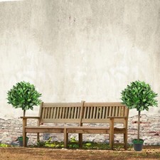 Pair of Fake Laurel Bay Trees