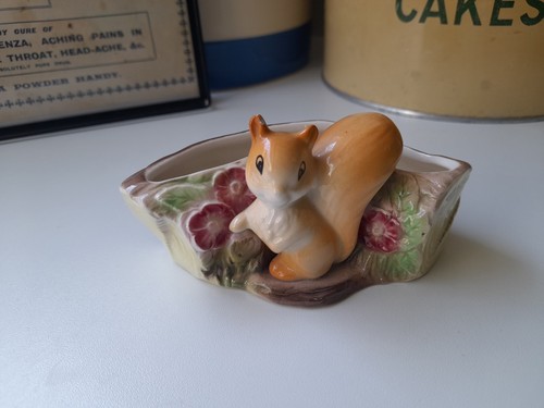 Hornsea fauna royal - hornsea, squirrel