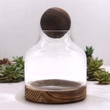 Glass Terrarium on Dark Tung